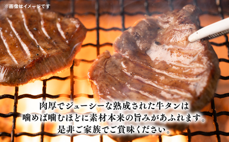 熟成 牛タン 厚切り てんこ盛り 1.2kg ( 味付け タン 塩 牛肉 焼肉 牛 BBQ 八代市 人気 ふるさと納税 )