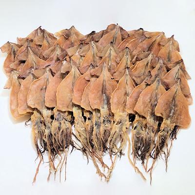 ふるさと納税 せたな町 スルメ36枚セット |  | 01