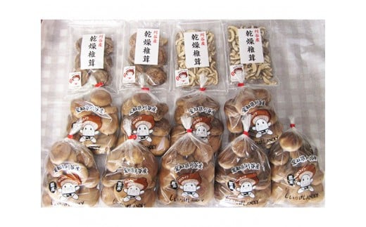 No.064 おがっしい【刈谷市小垣江産】生椎茸・乾燥椎茸セット　計約2820g ／ しいたけ シイタケ 乾物 肉厚 愛知県 特産品