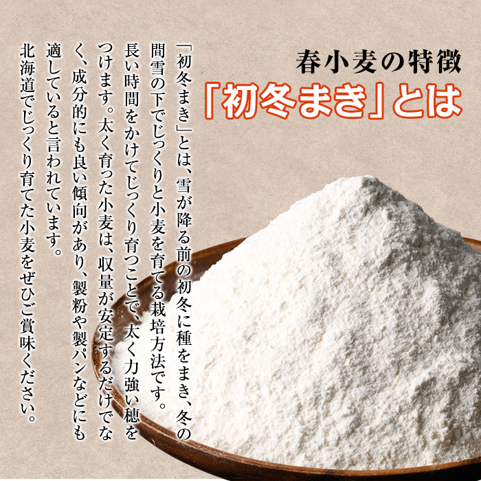 【C7022】＜北海道士別市産小麦＞ たよろの春よ恋 強力粉 ( 1kg×10袋・計10kg) 【2026年1月20日以降発送予定】小麦 小麦粉 強力粉 春よ恋 北海道産 士別市産 国産 国産小麦粉 