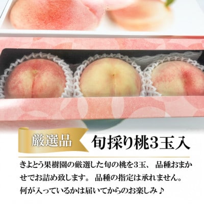 【きよとうファーム】【厳選品】旬の桃(品種おまかせ)3玉入(岡山県産)【配送不可地域：離島】
