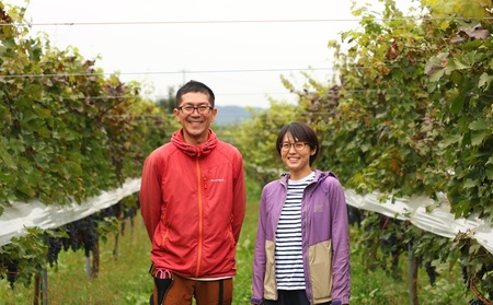 【産地直送】上山産・完熟シャインマスカット　１ｋｇ以上　ご家庭用　0140-2401