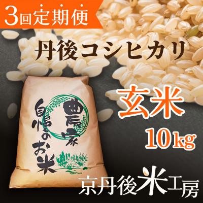 ふるさと納税 京丹後市 【毎月定期便】京丹後産コシヒカリ 玄米10kg全3回