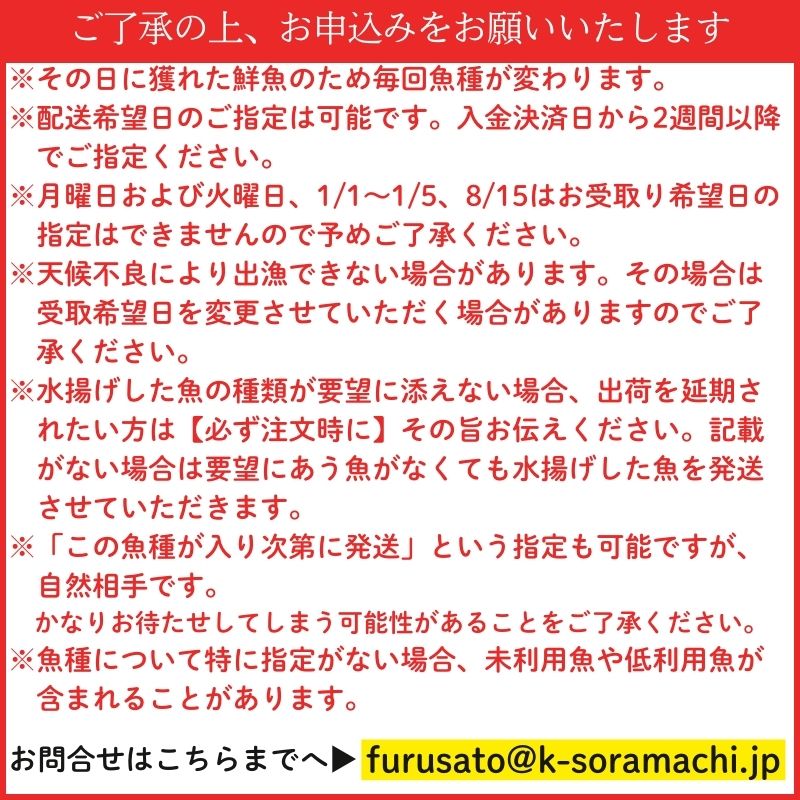 【A78003】漁師厳選！ロコフィッシュ(地魚) 下処理済 鮮魚 ボックス(約2～3kg)_イメージ4
