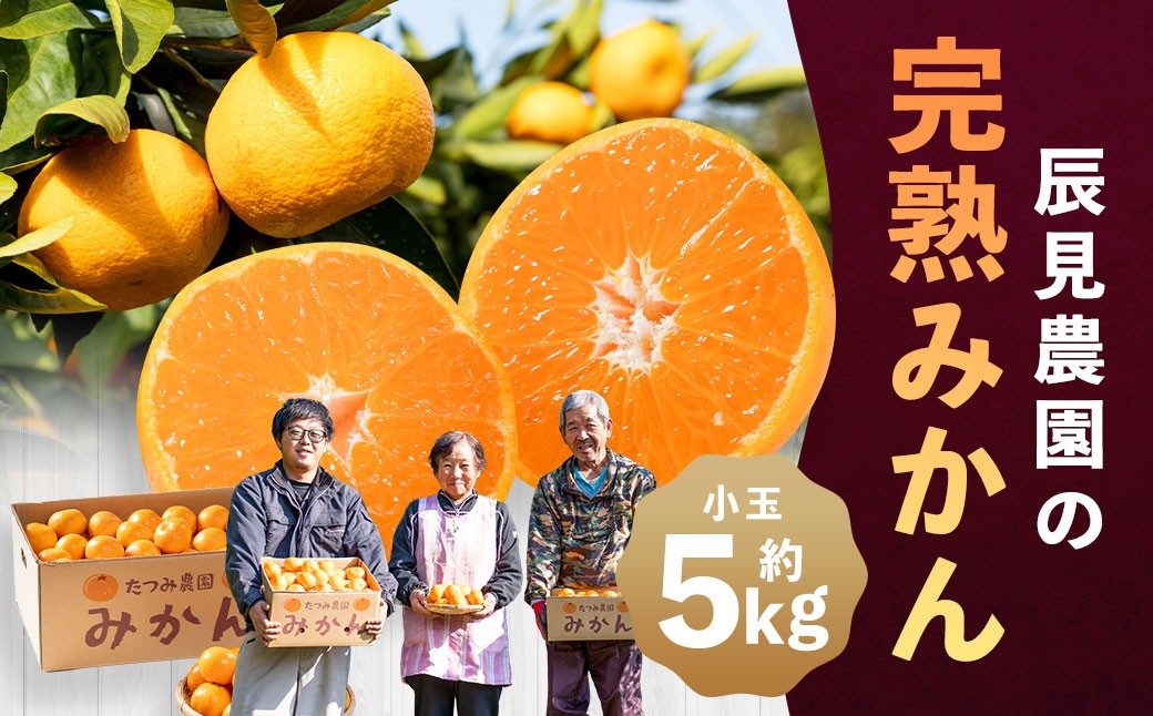 
                  L91x1  辰見農園の完熟みかん（小玉）５ｋｇ【2026年10月下旬-2027年3月下旬発送予定】
                