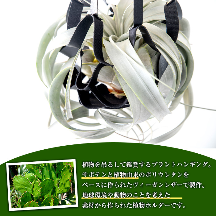 i624 サボテンレザーハンギング(ブラック・植物なし)地球環境や動物に配慮した素材で作られたプラントハンガー！【kurk PLANT LEATHER】