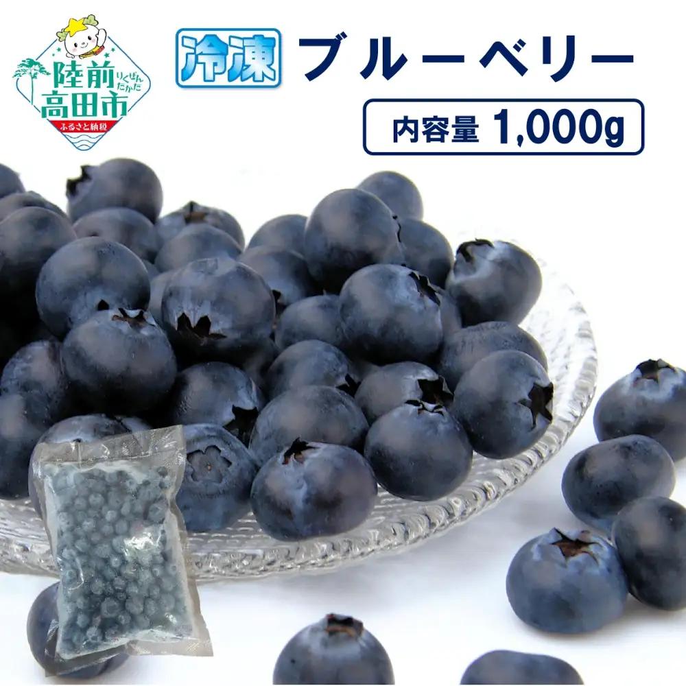 先行予約 冷凍ブルーベリー 500g×2袋 フルーツ ブルーベリー