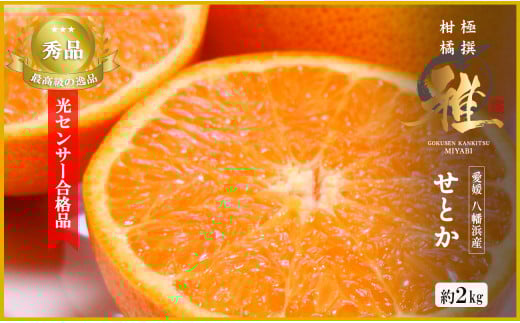 極撰柑橘＜雅＞光センサー合格品・柑橘の大トロ「 せとか 」約2キロ　＜C39-47＞【1380610】