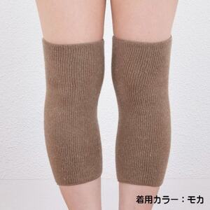 マルチウォーマー/サポーター横のび2枚　ショート　モカ　【581-3358】【1133381】