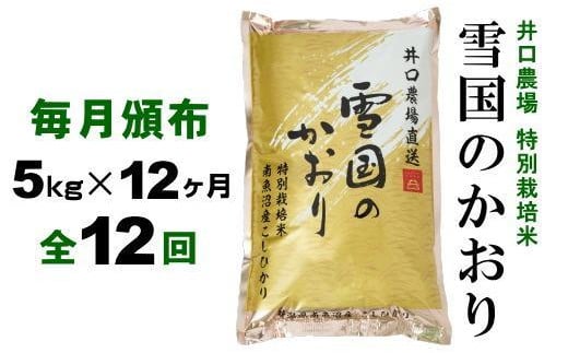 
【定期便】５kg×12ヶ月　南魚沼産コシヒカリ 井口農場 こだわりの 特別栽培米
