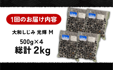 【全3回定期便】産地直送！宍道湖産 冷凍大和しじみMサイズ2kg(500g×4) 砂抜き処理済 島根県松江市/りすたむmatsue[ALDE007]