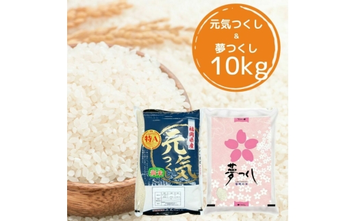 【先行予約】【令和7年産】福岡県産米食べ比べ【白米】夢つくしと元気つくしセット計10kg 吉富町/株式会社ゼロプラス [BGAA096] 米 精米 お米 おこめ ごはん ゆめつくし ご飯 常温 福岡県産 ブランド米 常温 おにぎり おむすび お弁当 ライス 10キロ