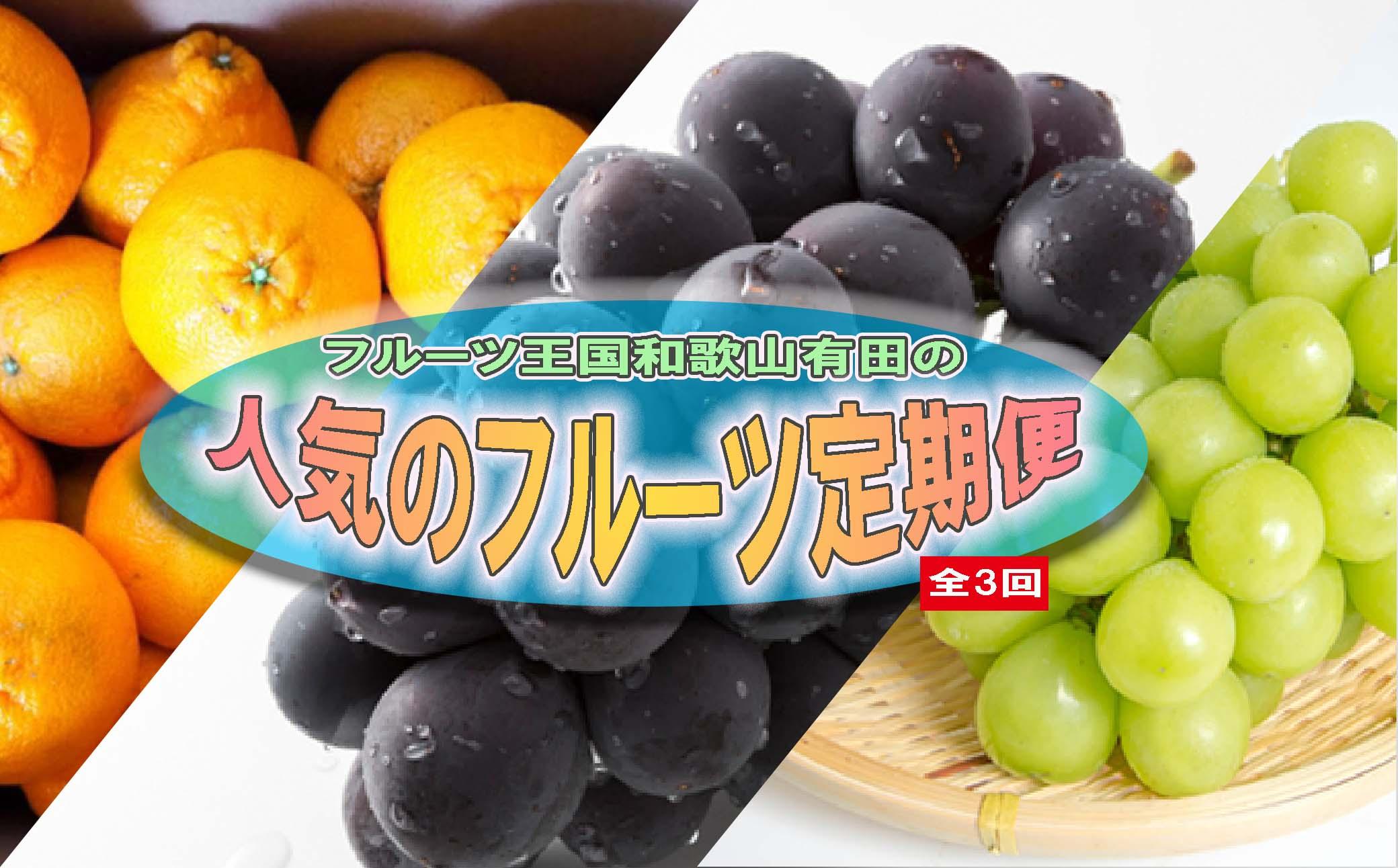 定期便全3回【3月・8月・9月発送】フルーツ王国和歌山の人気フルーツ定期便（不知火・たねなし巨峰・シャインマスカット）