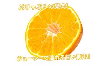 ＜ R8年熊本地震復興支援 ＞訳あり 不知火 計7kg 【2027年1月下旬～4月下旬迄順次発送予定】
