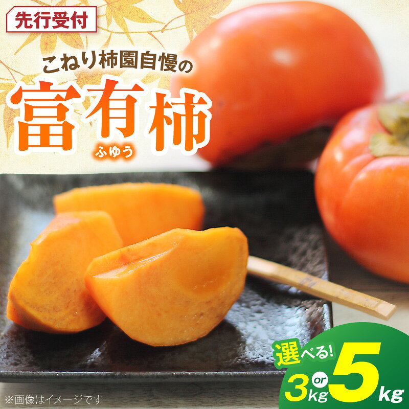 【ふるさと納税】【先行受付】 富有柿 甘柿 代表品種 11月 ～ 12月 旬 選べる 容量 3kg 5kg 柿 コク 濃厚な甘み なめらかな果肉 こねり柿園 フルーツ 果物 お取り寄せ 福岡県 上毛町 送料無料