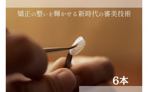 
                  ブラックフィルム施術券(6本)
                