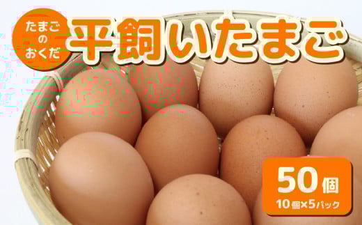 【定期便6回】平飼い卵 50個入り (10個×5パック) | たまご 卵 タマゴ 鶏卵 たまごかけごはん TKG オムレツ 卵かけご飯 たまご焼き おいしい おすすめ 高知県 南国市
