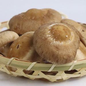 ドレッシング 9個 ドバッと！！しいたけ万能調味料 椎茸 しいたけ 調味料 乾燥椎茸 パスタ ドレッシング サラダ ドレッシング ギフト プレゼント 障がい者 支援 就労支援 農福連携 福祉 静岡県 