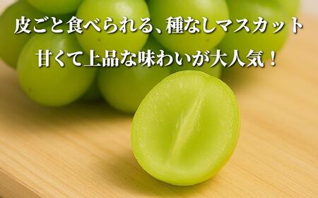 【2025年先行予約】［露地］岡山県産シャインマスカット 1.4kg（２房入）