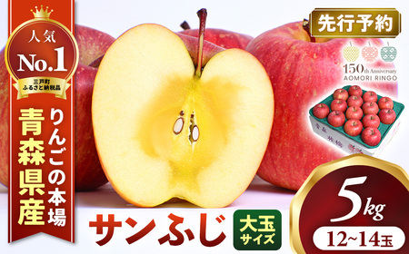 青森県産りんご 大玉 サンふじ 約5kg 11月下旬～ りんご