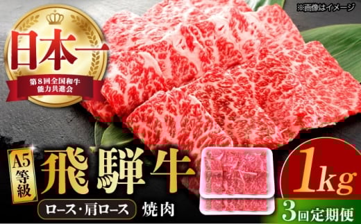 【3回定期便】 飛騨牛 焼肉用 ロース・肩ロース 1kg A5等級 和牛 ブランド牛 国産 牛肉 多治見市 / 渡辺精肉店 [TAZ035]