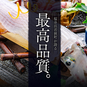 剣先イカ 3～6杯 スミ抜き 冷凍 剣先イカ