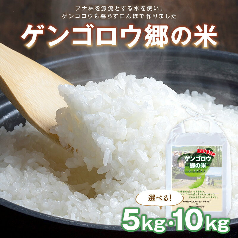 【ふるさと納税】龍谷大学と共同開発／2025年産　京丹後産生物多様性米コシヒカリ「ゲンゴロウ郷の米」 箱入 5kg 10kg 選べる 内容量 お米 ご飯 ごはん 令和7年 京都 京丹後 丹後 ふるさと納税 米 こしひかり 生産者応援 農家応援 送料無料