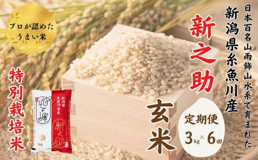 令和6年産新米予約【定期便】新之助 玄米 3kg×6ヶ月 計18kg 新潟県糸魚川産 特別栽培米 農家直送 100％根知谷産 米･食味鑑定士お墨付き【米 お米 コメ こめ ご飯 ライス ふるさと納税米 ブランド米 食品 人気 おすすめ ギフト 糸魚川市 減農薬 2024年産 シンノスケ しんのすけ 3キロ 先行予約 毎月お届け 6回 6か月】