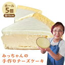 【ふるさと納税】みっちゃんの手作りチーズケーキ ホール5個 チーズケーキ チーズ ケーキ デザート 記念日 手作り 専門店 専門【横須賀商工会議所 おもてなしギフト事務局（みっちゃんの手作りチーズケーキ）】 [AKBH005]