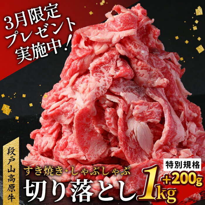 【ふるさと納税】〈3月受付限定！〉国産ブランド牛 切り落とし 1.2Kg (200g×6） 小分け 段戸山高原牛 幻 牛 国産 牛肉 牛 スライス 地域 限定 小分け 大満足 赤身 肉 数量限定 肉 牛肉切り落とし 牛切り落とし 国産牛 ブランド牛 10000円 10,000円 -039