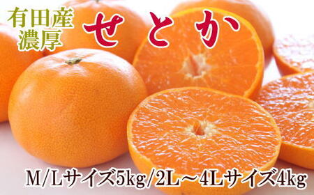 一度は食べていただきたい「有田産のせとか」約4～5kg（サイズおまかせ）【tecj1024】