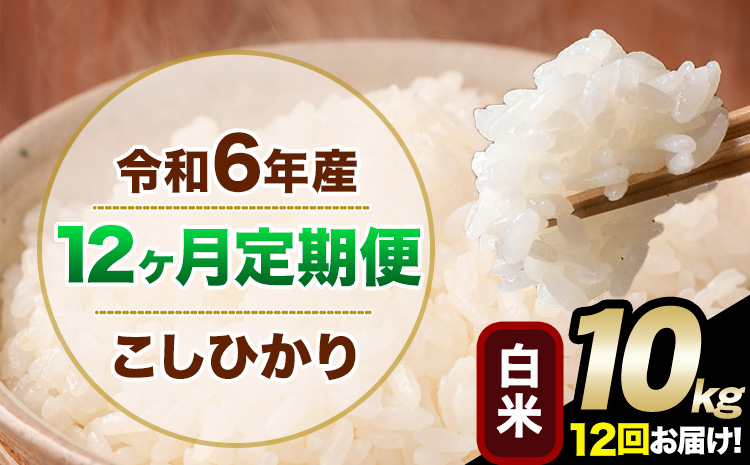 【12ヶ月定期便】令和6年産 定期便 こしひかり 白米 定期便 10kg 精米 熊本県産(南阿蘇村産含む) 単一原料米 南阿蘇村《申込み翌月から発送》---kh6tei_354000_10kg_mo12_mna_h---