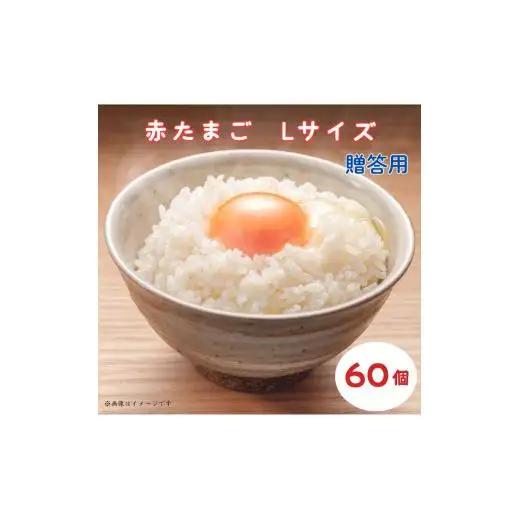 小川エッグの赤たまご　Lサイズ　贈答用60個