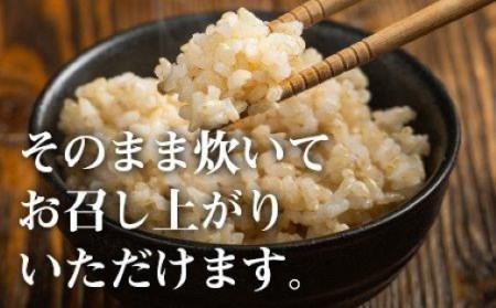 【 令和7年産 先行予約 】 魚沼産コシヒカリ 玄米 5kg×3回(計15kg) 隔月定期便