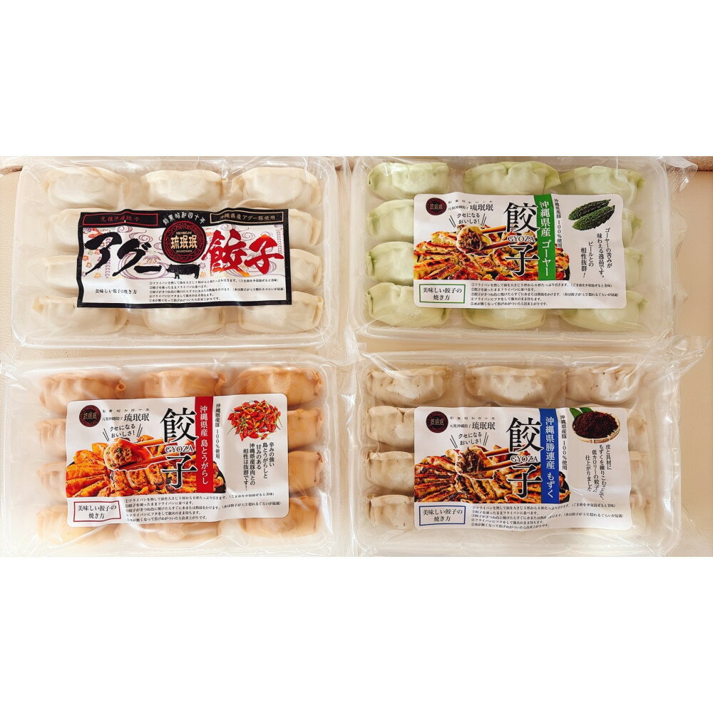 【ふるさと納税】【琉みんみん】沖縄餃子 詰め合わせパック　4パック 　48個入り