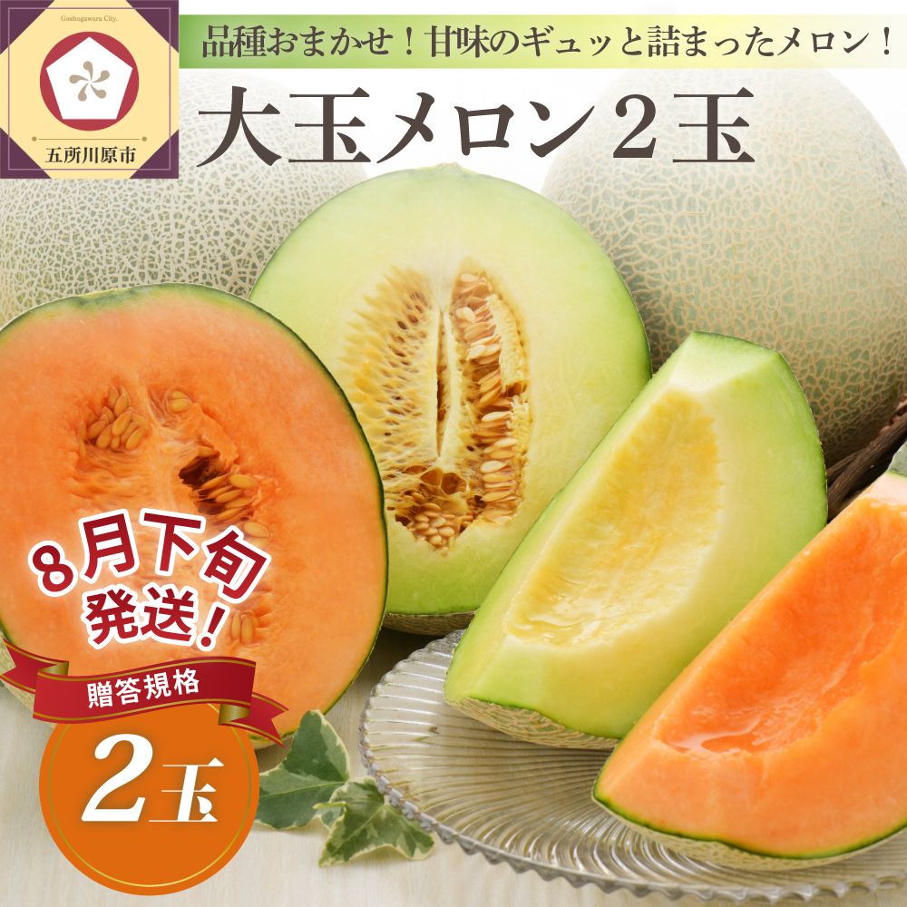 【2026年8月下旬発送】青森県津軽産 メロン 大玉 2個 品種おまかせ ≪贈答規格≫【青森メロン】