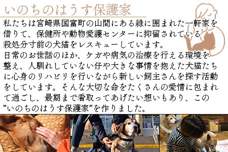 ＜保健所犬猫レスキュー【返礼品なしのご寄附】＞寄付金額1,000,000円※お礼状をお送りいたします。【 動物愛護 保護 犬 猫 いぬ ねこ イヌ ネコ 動物 どうぶつ ペット 応援 支援 寄付 使い