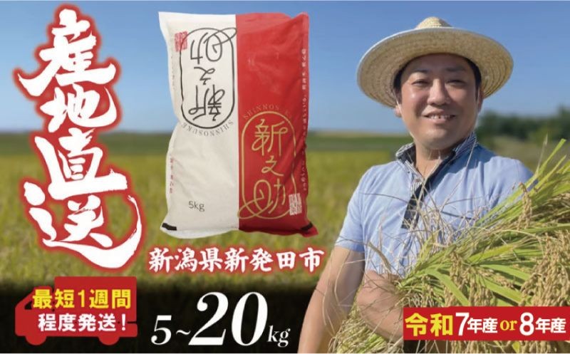 
                  【最短1週間発送!】 令和7年産 令和8年産 新之助 選べる 容量 5kg 10kg 20kg お米 新之助 しんのすけ こめ 米 ご飯 ごはん おいしい 新之助 しんのすけ 新潟県産 新潟 新潟県 米 5kg 新発田産 新潟産 朝食 昼食 夕飯 炊きたて 精米 ブランド watasho007P
                