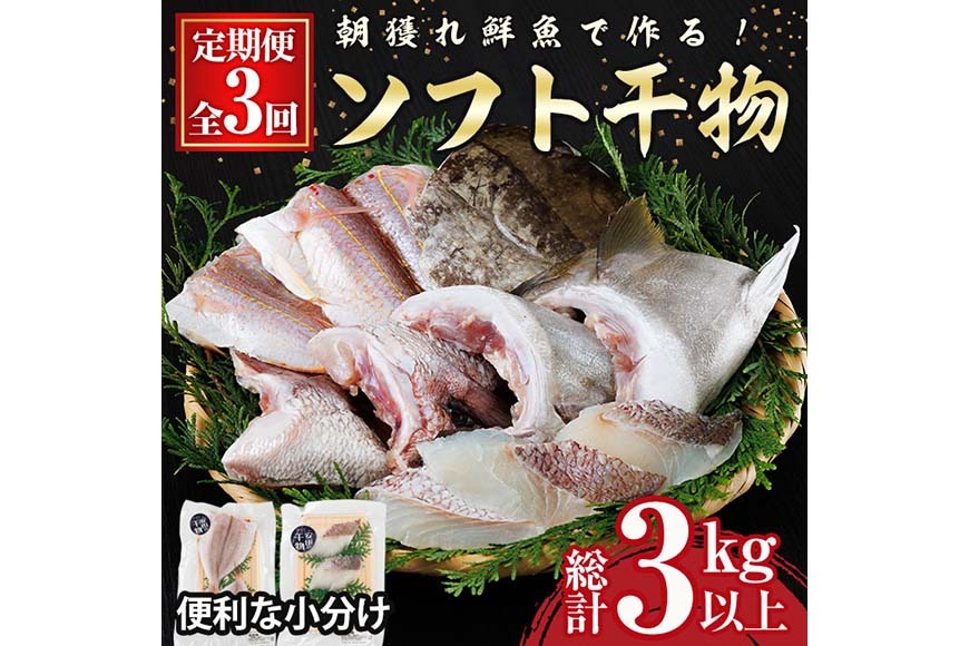 【定期便・全3回】朝獲れ鮮魚で作る！魚屋さんの 自家製 ソフト 干物(合計1kg以上・5～10枚×3回)アジ イワシ カマス イカ タイ ブリカマ セット 詰め合わせ ひもの 焼き魚 おかず お惣菜【YS-9】【株式会社安田】 [YS-9]