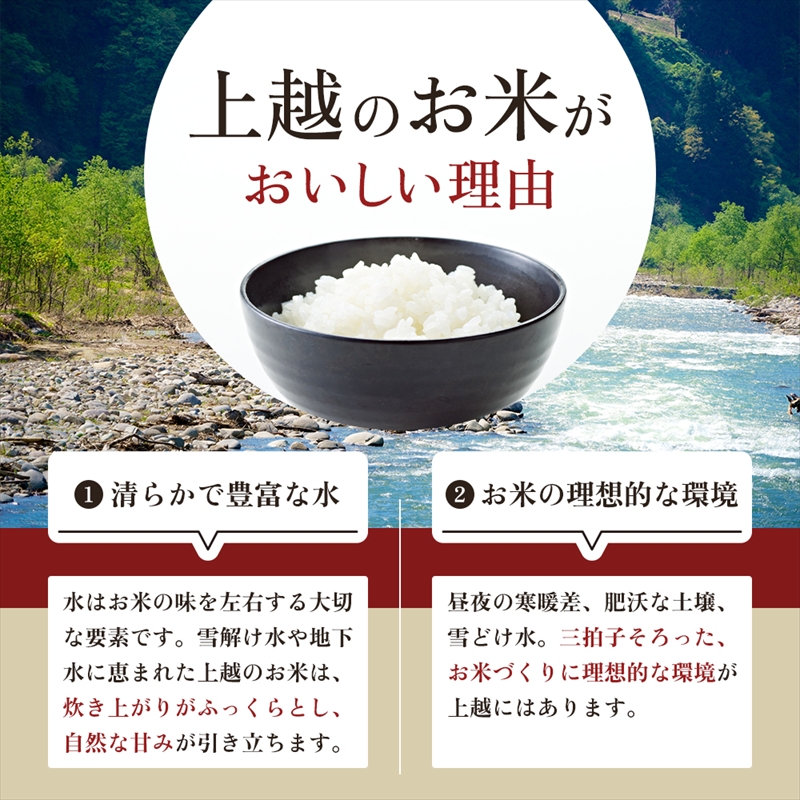 【令和8年産 先行予約】 新之助 無洗米 新潟県 上越産 10kg (5kg×2) 12か月 定期便 しんのすけ 五つ星お米マイスターのいるお店 お米 精米 米 ご飯 大黒屋商店