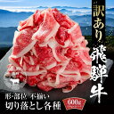 【ふるさと納税】訳あり 飛騨牛 切落とし 600g（150g×4パック） 冷凍真空パック | 肉 お肉 切り落とし すき焼き すきやき 黒毛和牛 和牛 個包装 小分け 人気 おすすめ 牛肉 ギフト お取り寄せ【飛騨高山ミート MZ012】