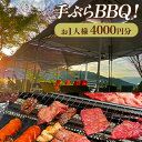 【ふるさと納税】 BBQチケット お1人様4000円分 お手軽プラン 株式会社清月屋敷 《30日以内に出荷予定(土日祝除く)》手ぶら バーベキュー チケット 4000円 自然 絶景 送料無料 徳島県 美馬市