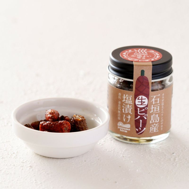 【ふるさと納税】石垣島産ピパーツ 3種詰め合わせセット | 沖縄県 石垣市 石垣島 南国 スパイス ヒハツモドキ 塩漬け オリーブオイル漬け フリーズドライ セット 調味料 香辛料 株式会社ケレス沖縄 E-070