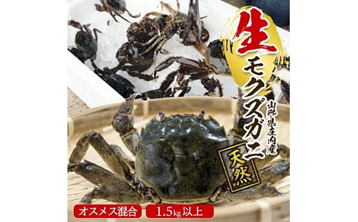 
849　生・天然モクズガニ 1.5kg以上 8～15匹
