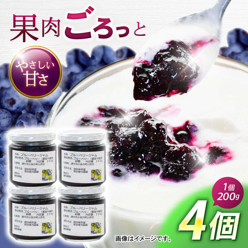 【ふるさと納税】果肉ごろごろ手作りブルーベリージャム 200g×4個 / ジャム ブルーベリージャム ブルーベリー ベリー / 諫早市 / 横林ブルーベリー園 [AHCS001]