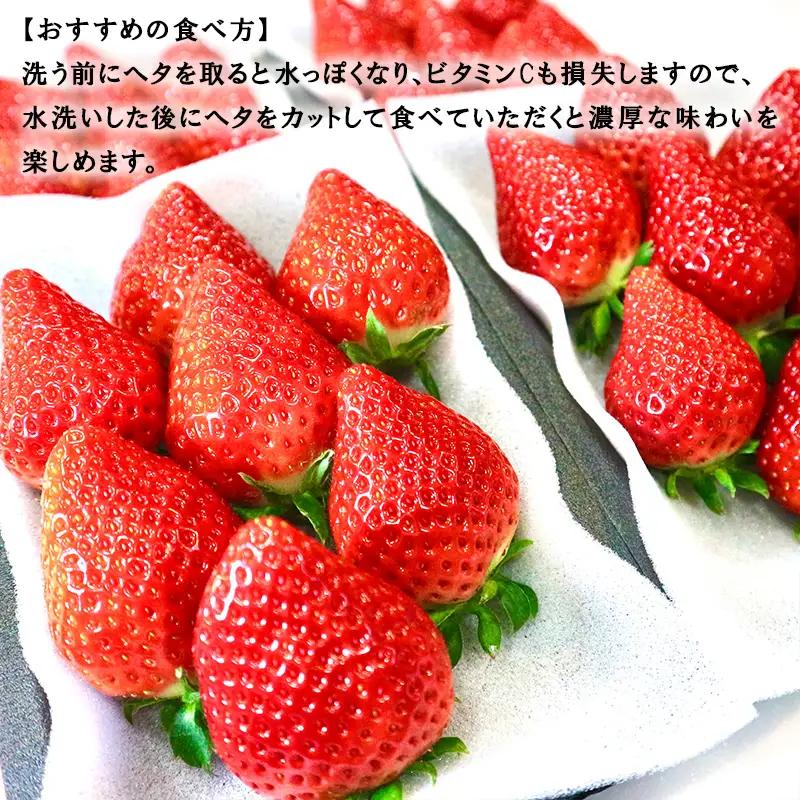 『先行予約』【令和9年3月より順次発送】唐津産 いちごさん 約250g×6パック(合計約1.5kg)
