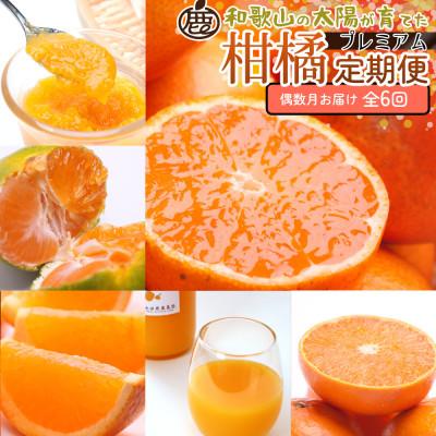 ふるさと納税 広川町 【発送月固定定期便】厳選 柑橘定期便M(偶数月)全6回