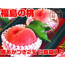 【ふるさと納税】阿部農縁　福島の桃　奥あかつき2玉化粧箱入り　ギフト・贈答用　ふくしまの完熟もも【配送不可地域：離島】【1294017】