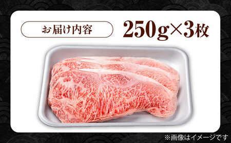佐賀県産 黒毛和牛 サーロインステーキ 750g / サーロインステーキ [IAG017]
