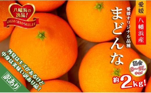 2026年11月より発送開始　ぷるぷる食感!!「まどんな」約2キロ＜訳あり・家庭用＞＜C39-58＞【1512437】 YWTF033